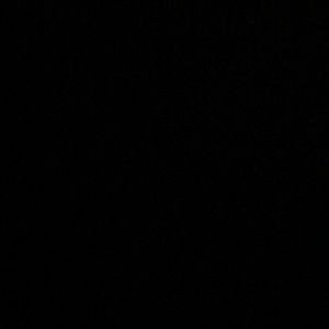 Meet your Posher, Alexia